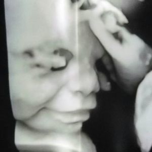 Meet your Posher, Freddy